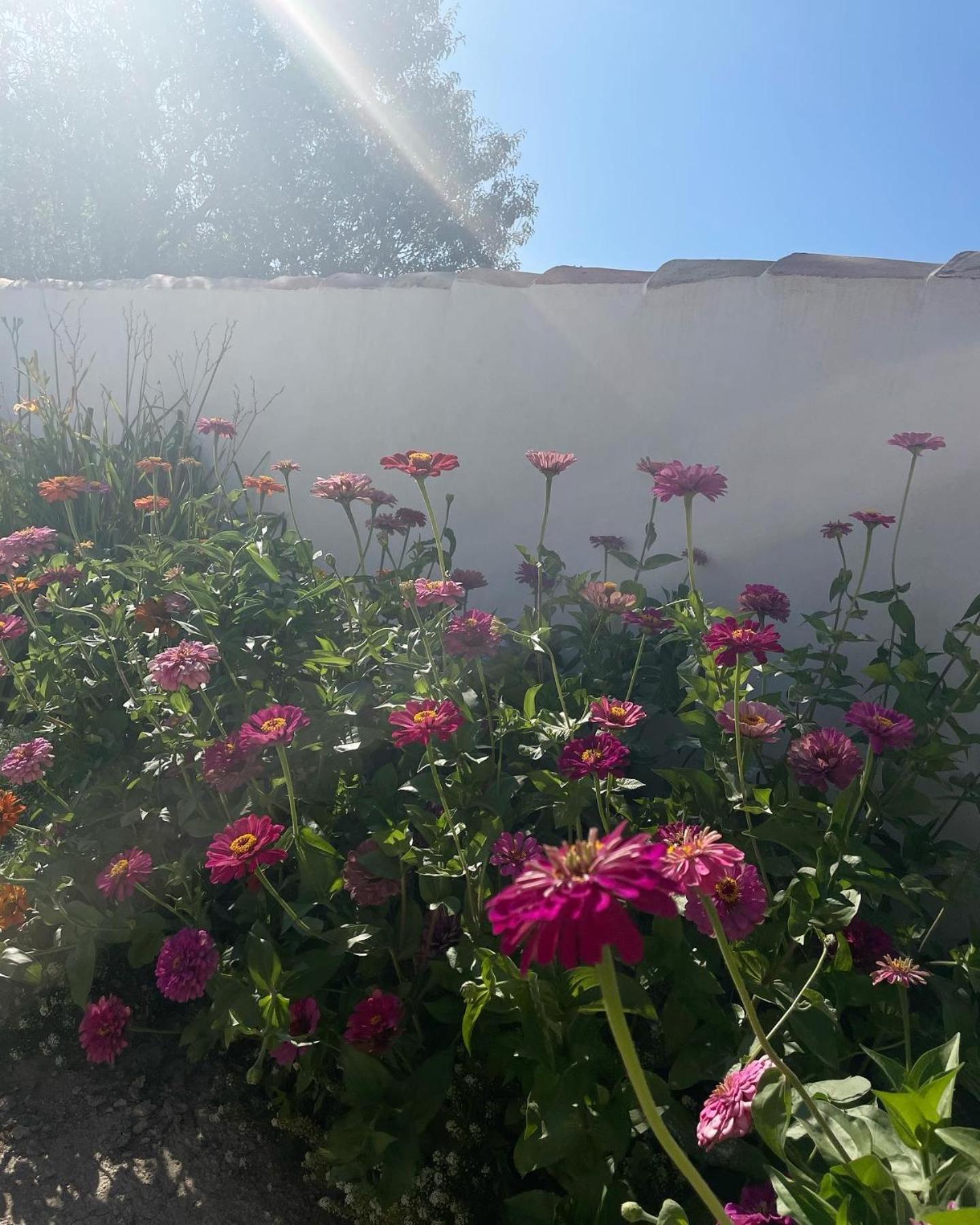 Cortijo El Prado L Villa Castril Luaran gambar